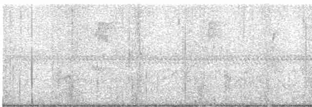Oriole des vergers - ML619243507