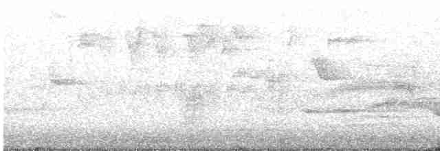 Küçük Boreal Sinekkapan - ML619243589
