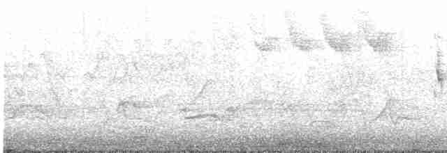 Paruline à calotte noire - ML619243616