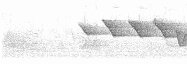 Трясогузковый певун - ML619243624