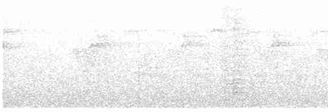 Усатый колибри-отшельник - ML619244362