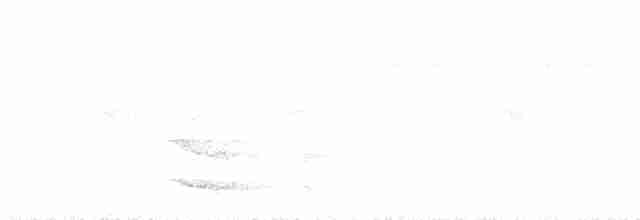 tukan žlutohrdlý - ML619244399