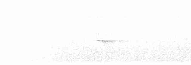Zeledon Karıncakuşu - ML619244421