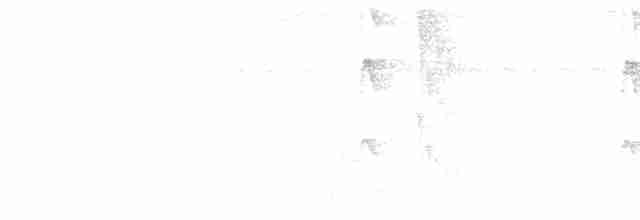 Тиран-інка андійський - ML619244495