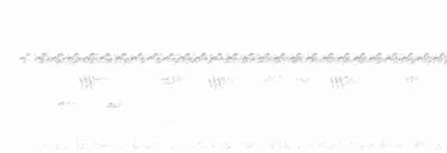 Microtyran chevelu - ML619244510