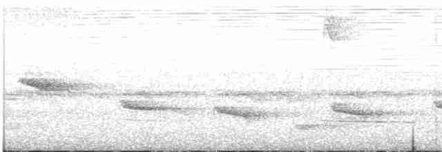 Bülbül Sesli Çıtkuşu - ML619244531