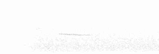 Соловьиный крапивник - ML619244537