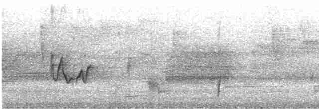 brunkinnskogtrost (swainsoni gr.) - ML619244635