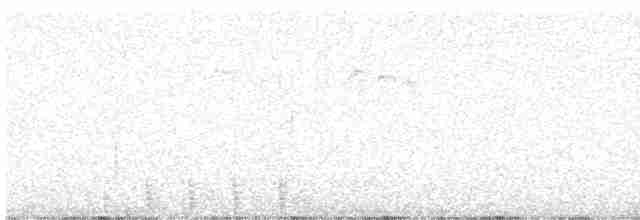 Trogon élégant (groupe ambiguus) - ML619244822