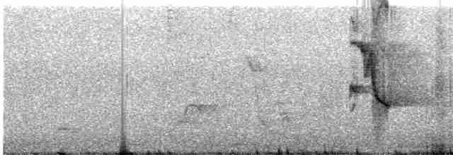 Pearly-eyed Thrasher - ML619245044