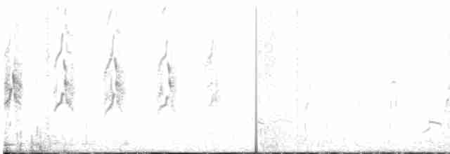 Gelbstirn-Blatthühnchen - ML619245313
