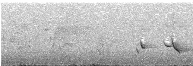 Черноголовый толстонос - ML619245416