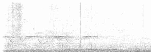 Каролинский крапивник - ML619245626