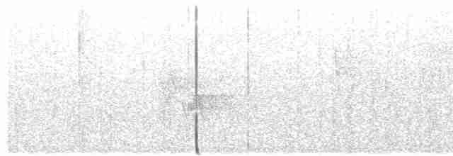 Певун-червеед - ML619245706
