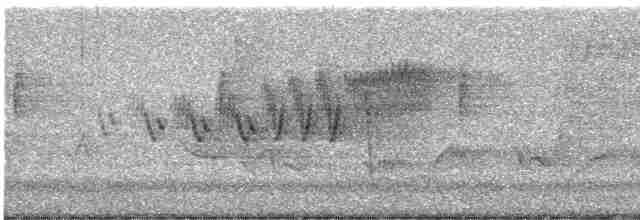 Cerulean Warbler - ML619246615