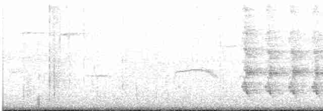 Kalifornienspottdrossel - ML619246828