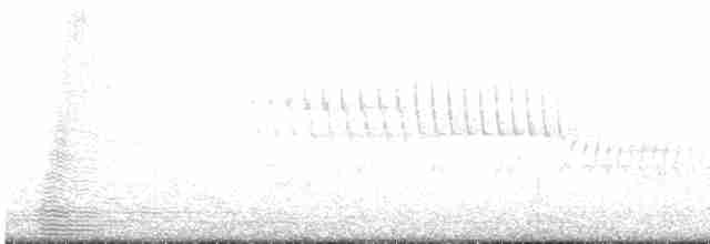 Kalifornienspottdrossel - ML619246834