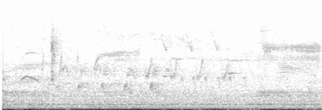 Paruline verdâtre - ML619246854