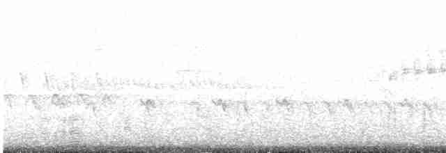 Chaparralgrasmücke - ML619246889