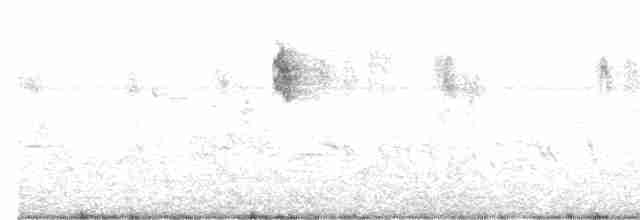 Spotted Flycatcher - ML619247190