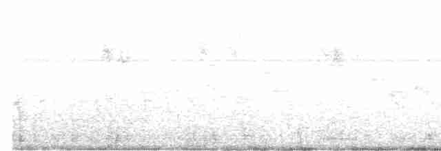 gråfluesnapper - ML619247192