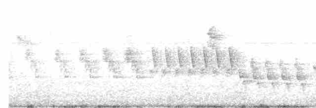 Зяблик звичайний - ML619247217