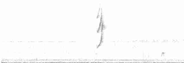 Graustirn-Dickichtschlüpfer - ML619247230