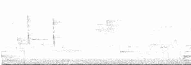 Canada Warbler - ML619247321