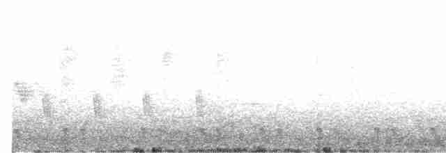 Red-necked Nightjar - ML619247403