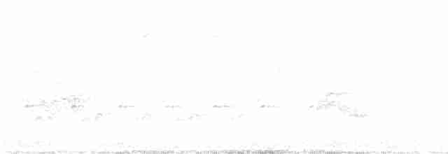 Дрізд-короткодзьоб канадський - ML619247439