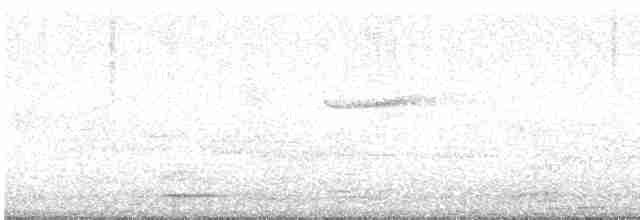 gulbrynkjernebiter - ML619247607