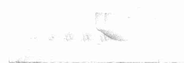 Пестрогорлый соловьиный дрозд - ML619247672
