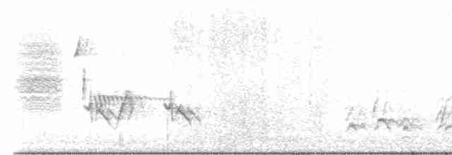 Rotspottdrossel - ML619247868