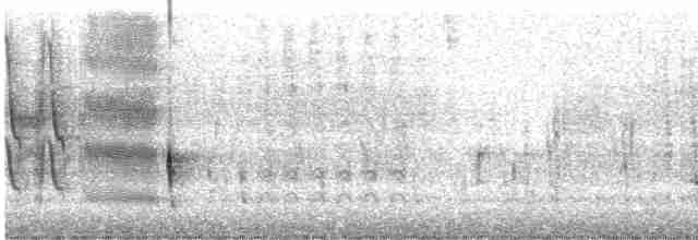疣鼻天鵝 - ML619248353