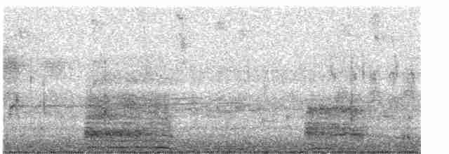 疣鼻天鵝 - ML619248356