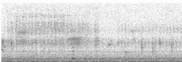 Лебедь-шипун - ML619248378