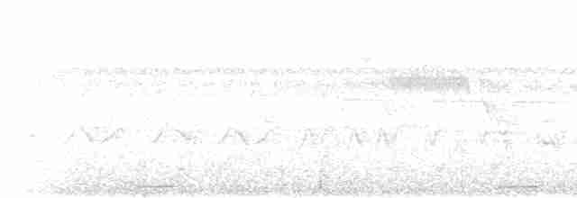 Талпакоті сірий - ML619248555