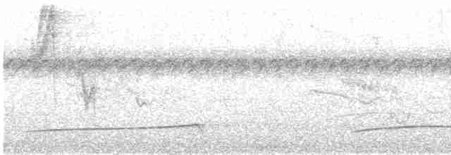 Лінивка-смугохвіст панамська - ML619248602
