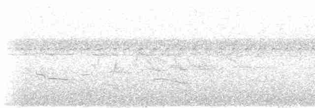 Kestane Sırtlı Karıncakuşu - ML619248672