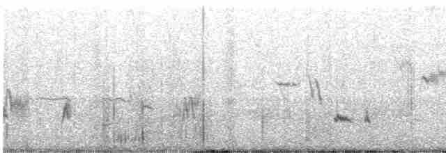Cuitlacoche de las Artemisas - ML619248708