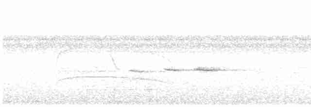 Paruline de Fraser - ML619248784