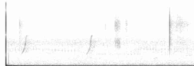 斑胸秧雞 - ML619248853
