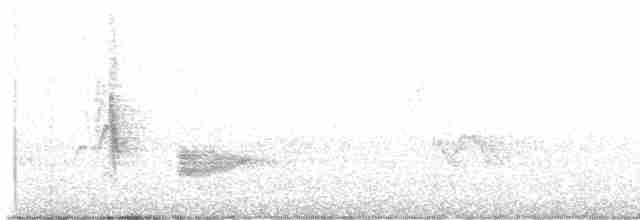 Чернокрылая пиранга - ML619249081