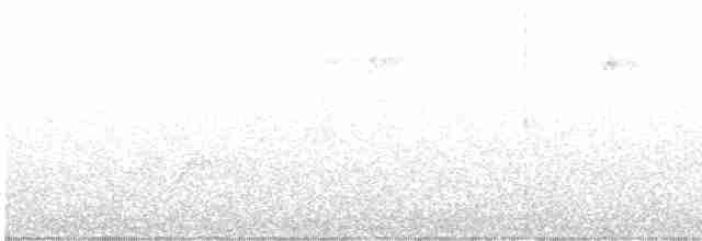 Amerika Tırmaşıkkuşu (americana/nigrescens) - ML619249779