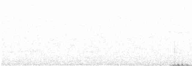 Кропив’янка чорноголова - ML619250028