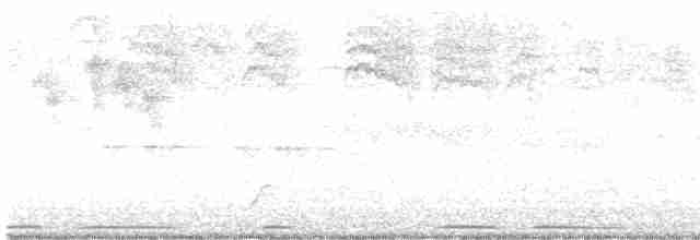Eurasian Collared-Dove - ML619250211