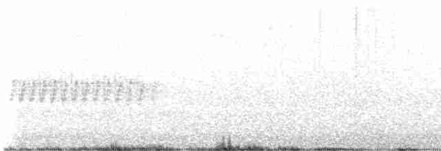 Paruline verdâtre - ML619250431