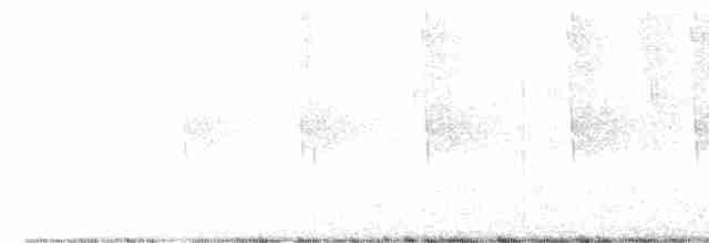 Hooded Warbler - ML619250453