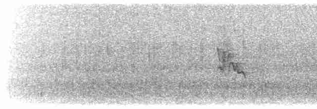 Белокрылая канделита - ML619250682