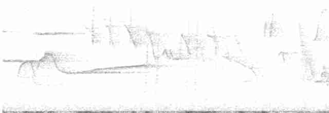 Cerulean Warbler - ML619250723